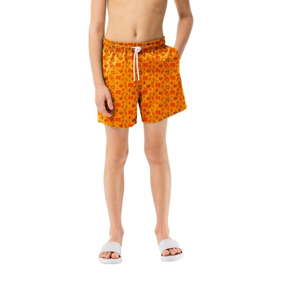 Boy's Beach Swim Trunk Shorts Quick Dry UPF 50+ Little Boys Bathing Swimsuit - Picture 2 of 15